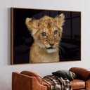 Ver imagem 1 de Quadro Decorativo Filhote em Moldura Caixa Tacolado Moldura Trad 1cm Madeira Escura com Vidro 30 X 4