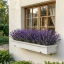 Ver mais imagens de 15 Buquês de Lavanda Artificial Roxo 38cm Beleza Duradoura para Sua Decoração