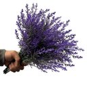Ver imagem 3 de 15 Buquês de Lavanda Artificial Roxo 38cm Beleza Duradoura para Sua Decoração