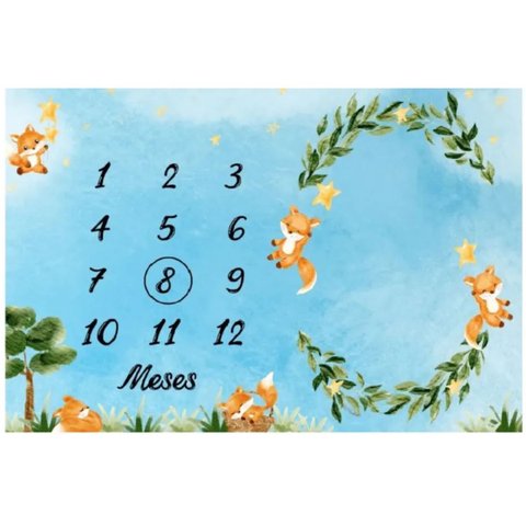 Lençol Cenário Foto Mêsversário Raposa Azul Minhaestrelinha