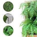Ver imagem 5 de Kit de 8 Plantas Artificiais Samambaia para Ambientes Modernos