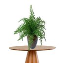 Ver imagem 6 de Kit de 8 Plantas Artificiais Samambaia para Ambientes Modernos
