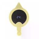 Ver imagem 2 de Garrafa Térmica Plástico Cabo de Madeira e Termômetro Menta