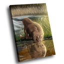 Ver imagem 1 de Quadro Leão Natureza -- BR ARTES Grande 118x78