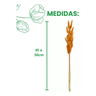 Buque Rabo de Coelho Laranja Desidratado Natural P\ Arranjos - 4