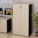 Ver imagem 1 de Armário Multiuso Alto Para Escritório 2 Portas