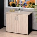 Ver imagem 1 de Armário Para Escritório Multiuso Baixo Fechado 2 Portas 80cm