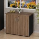 Ver imagem 1 de Armário Para Escritório Multiuso Baixo Fechado 2 Portas 80cm