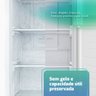 Freezer e Conservador Vertical Hq 330 Litros Inox e Preto Hq-330fv/rffix - 7