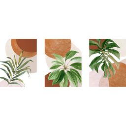 Tríptico - Quadros Decorativos Floral Costela de Adão Grande:Branco - 4