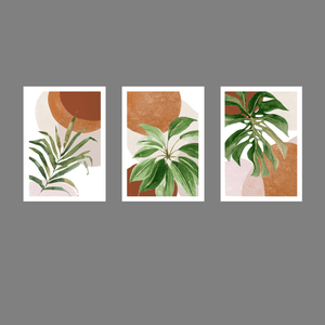 Tríptico - Quadros Decorativos Floral Costela de Adão Grande:Branco