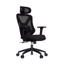 Ver imagem 1 de Cadeira de Escritório Ergonômica Premium com Apoio Lombar Ajustável Rodas Anti Riscos Rasala