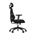 Ver imagem 5 de Cadeira de Escritório Ergonômica Premium com Apoio Lombar Ajustável Rodas Anti Riscos Rasala