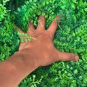 Ver imagem 4 de Conjunto 25 Painéis Plantas Artificiais Premium para Parede Verde Permanente com Efeito Realista 3D