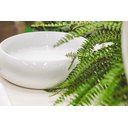 Ver imagem 7 de Cuba de Apoio Redonda 40x11,5cm Vulcano 