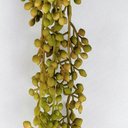 Ver imagem 4 de Pendente Rosário Marrom 73x6x5cm Planta Artificial