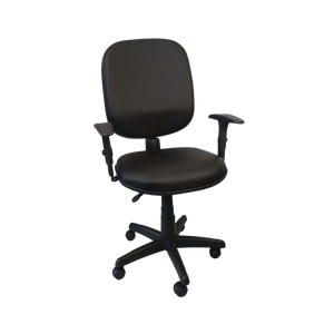 Cadeira Escritório Diretor Nr17 - Back System + Braços Regulagem:preto