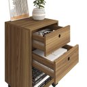 Ver imagem 6 de Gaveteiro 2 Gavetas com Rodízio Byte