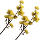 Ver imagem 1 de Kit 6 Plantas Artificial Mamonas Amarelo Escuro Enfeite 70cm