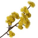 Ver imagem 3 de Kit 6 Plantas Artificial Mamonas Amarelo Escuro Enfeite 70cm