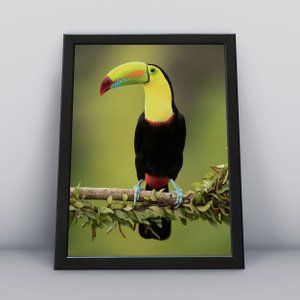 Quadros Decorativos Aves Decoração Sala Quarto Diversos:8