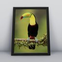 Ver imagem 1 de Quadros Decorativos Aves Decoração Sala Quarto Diversos:8