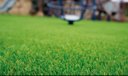 Ver imagem 4 de Grama Sintetica Euro Garden 32mm (2x0.50m) 1m²