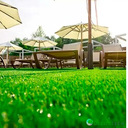 Ver imagem 3 de Grama Sintetica Euro Garden 32mm (2x0.50m) 1m²