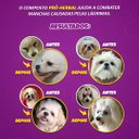 Ver imagem 7 de Raçao Wheyhd Crispy Caes Ad. Raças Pequenas Sc 6,0 Kg (30 X 200 Gr) Premiatta 4032