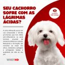 Ver imagem 6 de Raçao Wheyhd Crispy Caes Ad. Raças Pequenas Sc 6,0 Kg (30 X 200 Gr) Premiatta 4032