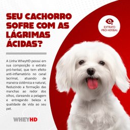 Raçao Wheyhd Crispy Caes Ad. Raças Pequenas Sc 6,0 Kg (30 X 200 Gr) Premiatta 4032 - 6