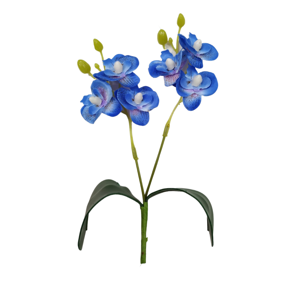 Mini Orquidea:orquídea Azul