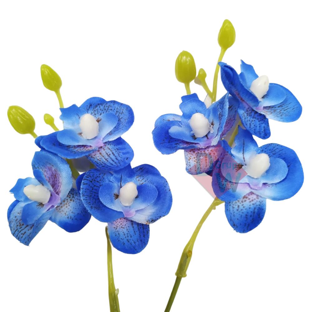Mini Orquidea:orquídea Azul - 2