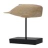 Escultura Decorativa Baleia em Resina Estilo Madeira 23,5cm Ss0278 Btc - 1
