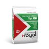 Argamassa Aciii Interno e Externo Plástico 20kg Royal Gres - 1