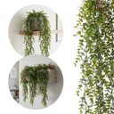 Ver imagem 6 de Kit 6 Pendentes de Eucalipto Artificial Realista 87 cm Verde Permanente para Decoração