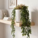 Ver mais imagens de Kit 6 Pendentes de Eucalipto Artificial Realista 87 cm Verde Permanente para Decoração