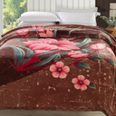 Ver imagem 1 de Cobertor Casal Raschel Plus Jolitex Microfibra 1,80 X 2,20m