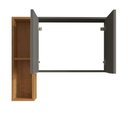 Ver imagem 5 de Espelheira Para Banheiro Ibiza 2 Portas Com Espelho Nicho Multifuncional Puxador De Aluminio