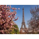 Ver imagem 2 de Papel De Parede Cidade Paris Torre Eiffel 3D Ncd217