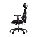 Ver imagem 4 de Cadeira de Escritório Ergonômica Confortável Premium Elements Rasala Certificado Nr17