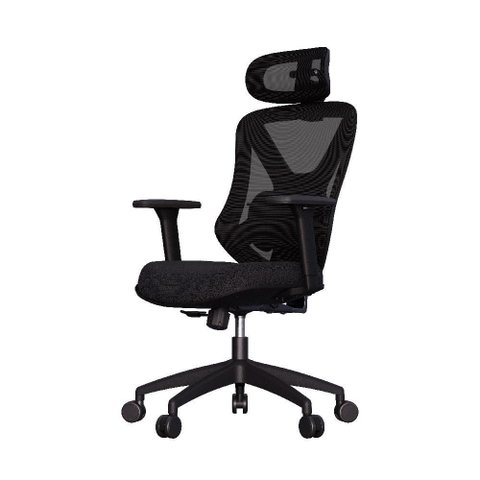 Cadeira de Escritório Ergonômica Confortável Premium Elements Rasala Certificado Nr17