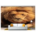Ver imagem 1 de Papel De Parede Animais Leão Olhando 3D Anm192