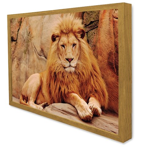 Quadro Decorativo Caixa Leão Tacolado Moldura Caixa 3cm Freijó sem Vidro 20 X 30cm