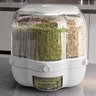 Dispenser Alimentos Cereais 6 Divisoes Giratorio 360 Graus Condimentos Tempero Feijao Arroz Cozinha  - 5