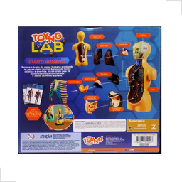 Kit Medicina Explora Corpo Humano Busto Órgãos Anatomia - 4