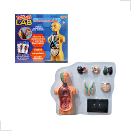 Kit Medicina Explora Corpo Humano Busto Órgãos Anatomia - 1