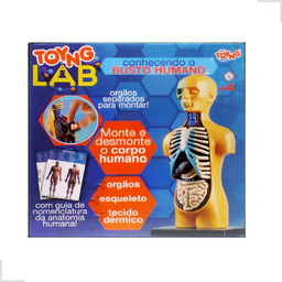 Kit Medicina Explora Corpo Humano Busto Órgãos Anatomia - 3
