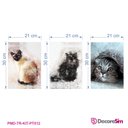 Ver imagem 3 de Kit Quadros Decorativos PET 3 peças