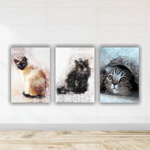 Kit Quadros Decorativos PET 3 peças